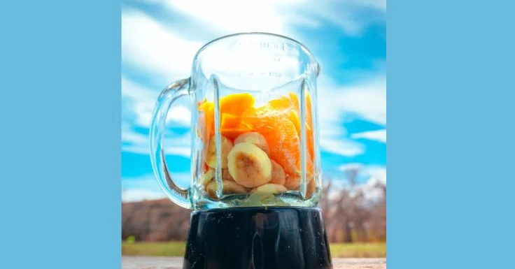 Best Blender Food Processor Combos